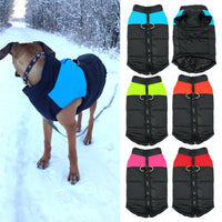 Waterproof Dog Vest for the Winter
