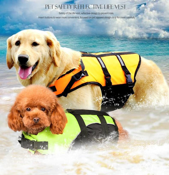 Dog Water Safety Vest for the Summer