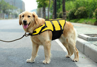 Dog Water Safety Vest for the Summer